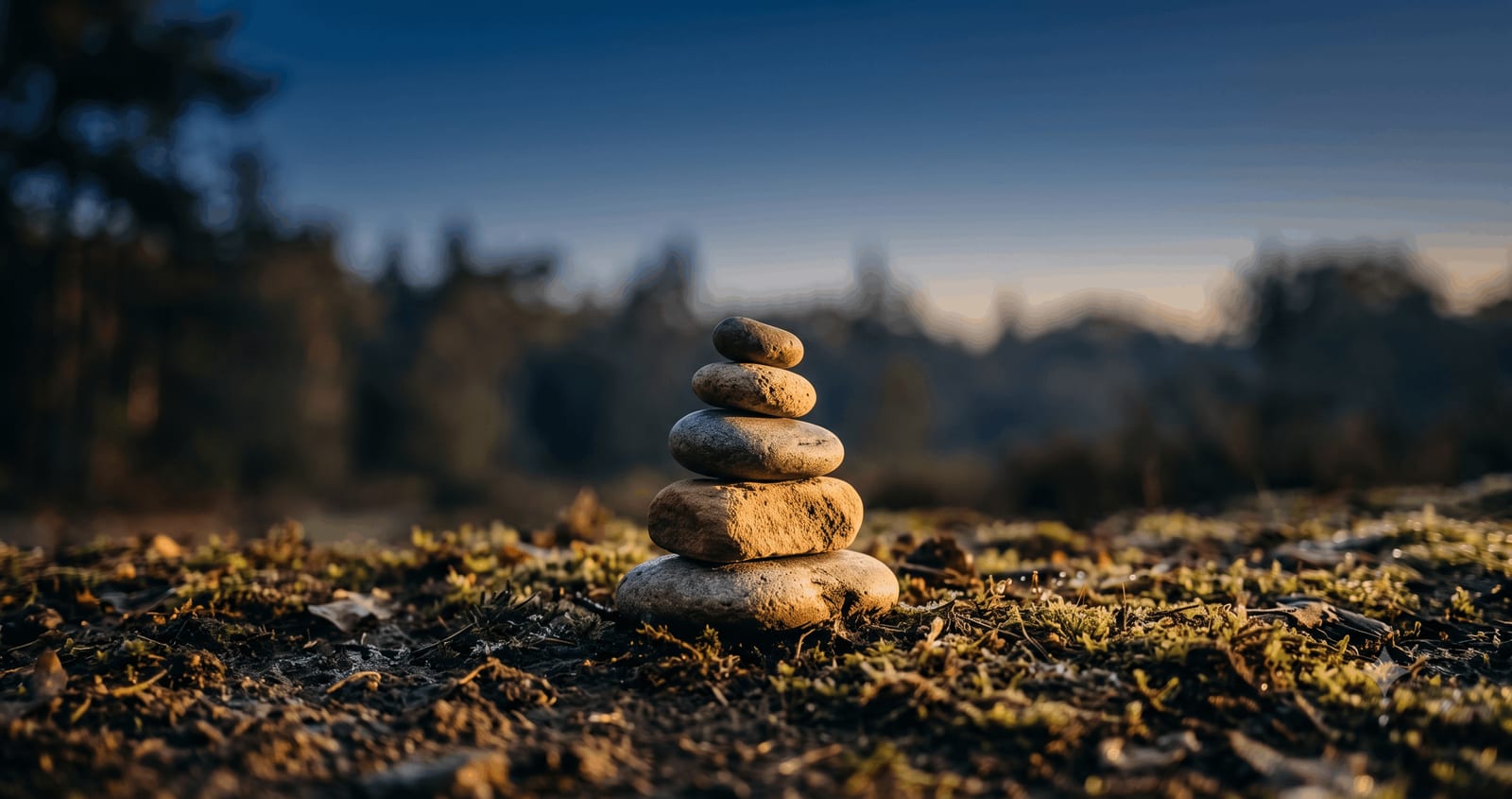 Micro-Habits vs Big Life Changes: Why Small Wins Actually Stick